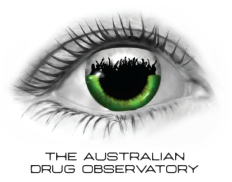 Dr David Caldicott, Clinical Lead, Australian Drug Observatory, Australian National University